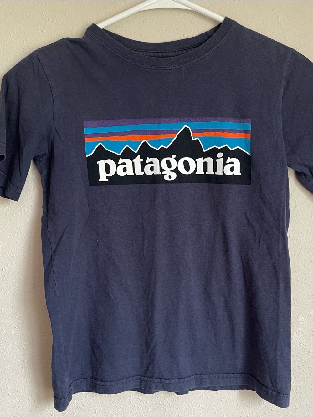 Patagonia Gray Logo Mountain Tee